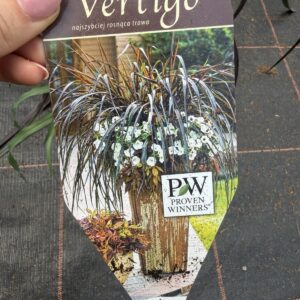 Trawa Vertigo