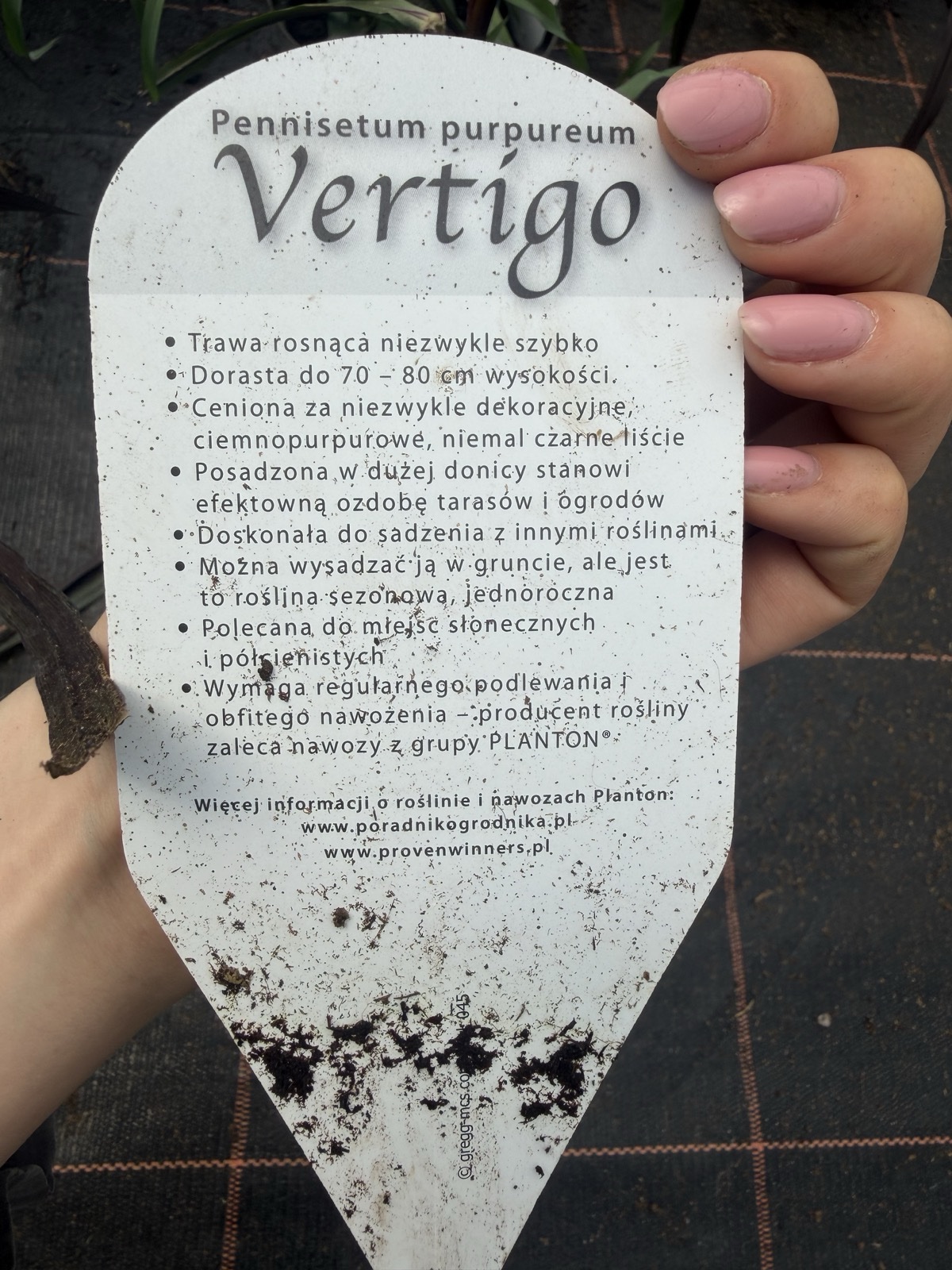 Trawa Vertigo - obrazek 2